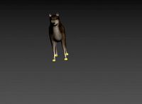 wolf