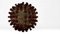 coronavirus detail - covid19