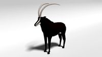 low poly cartoon sable antelope