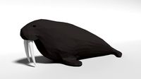 low poly cartoon walrus