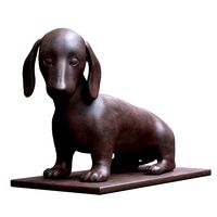 dachshund puppy