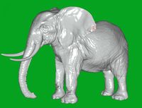 Elephant