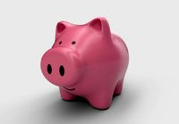 money box pig