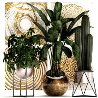 decorative plants in flower pots for the interior 467
