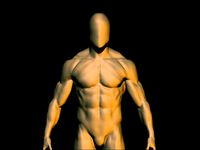 baes mesh anatomy