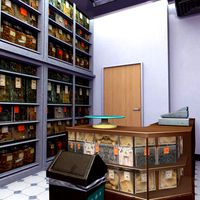 traditional chinese medicine store
