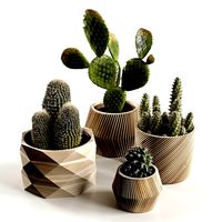 cactus collection