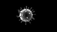 corona virus