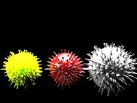 corona virus