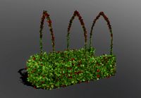 two seasonal garden