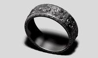 ring a20 3d print model | 3D