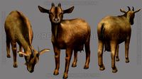 ANIMATED GOAT