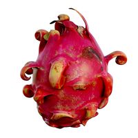 dragon fruit 09