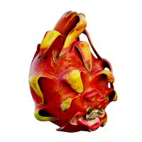 Dragon fruit 08