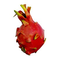 Dragon fruit 06