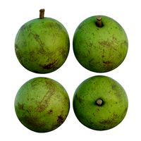 Pear shaped pyrifrom melon