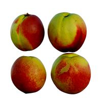peach 07