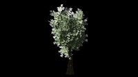 Tree 3D