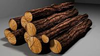 Wood trunks