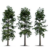 pine trees collection vol 102