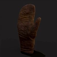 Old Worn Leather Mitten