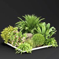 outdoor garden plants collection vol 97