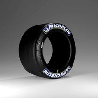 Michelin Tire - Slick Tire
