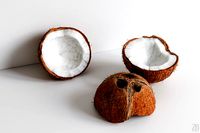 Coconut 003