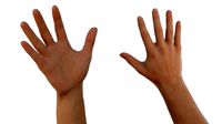 right hand catrig