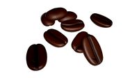 roasted coffee beans on ground