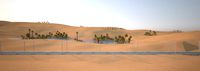 desert