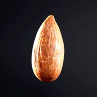 Almond Roasted