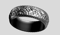 ring a10 3d print model | 3D