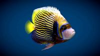 Manila Fish