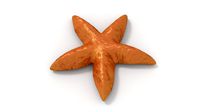 starfish