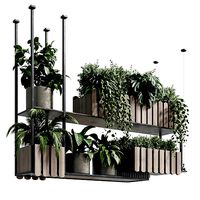 Hanging box potted plants 260