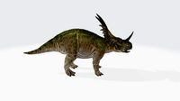 Styracosaurus