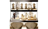 Stylish jewelry showcase
