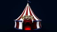 Stylized Circus