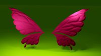 Butterfly wings