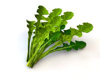 dandelion greens
