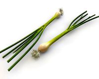 green onions