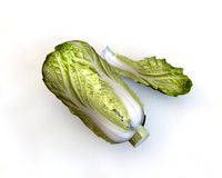 kimchi napa cabbage