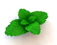mint