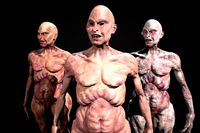 Mutant 1