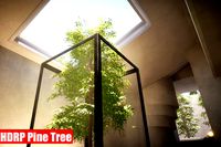 HDRP Pine Tree
