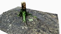 Tree Stump - Low Poly - Maps: 2048 by 2048