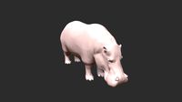 Hippopotamus model