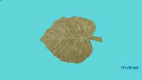 Mini Tapete Monstera Olive 75 x 100cm - Lorena Canals - Mimoo Toys