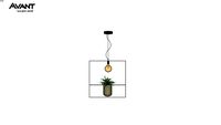 PENDENTE NATURE QUADRADO 50X50CM AÇO PRETO - AVANT 489330001